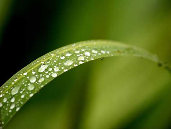 We aim to minismise our carbon footprint