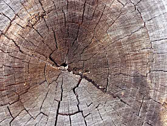All wood we use is from sustainable sources
